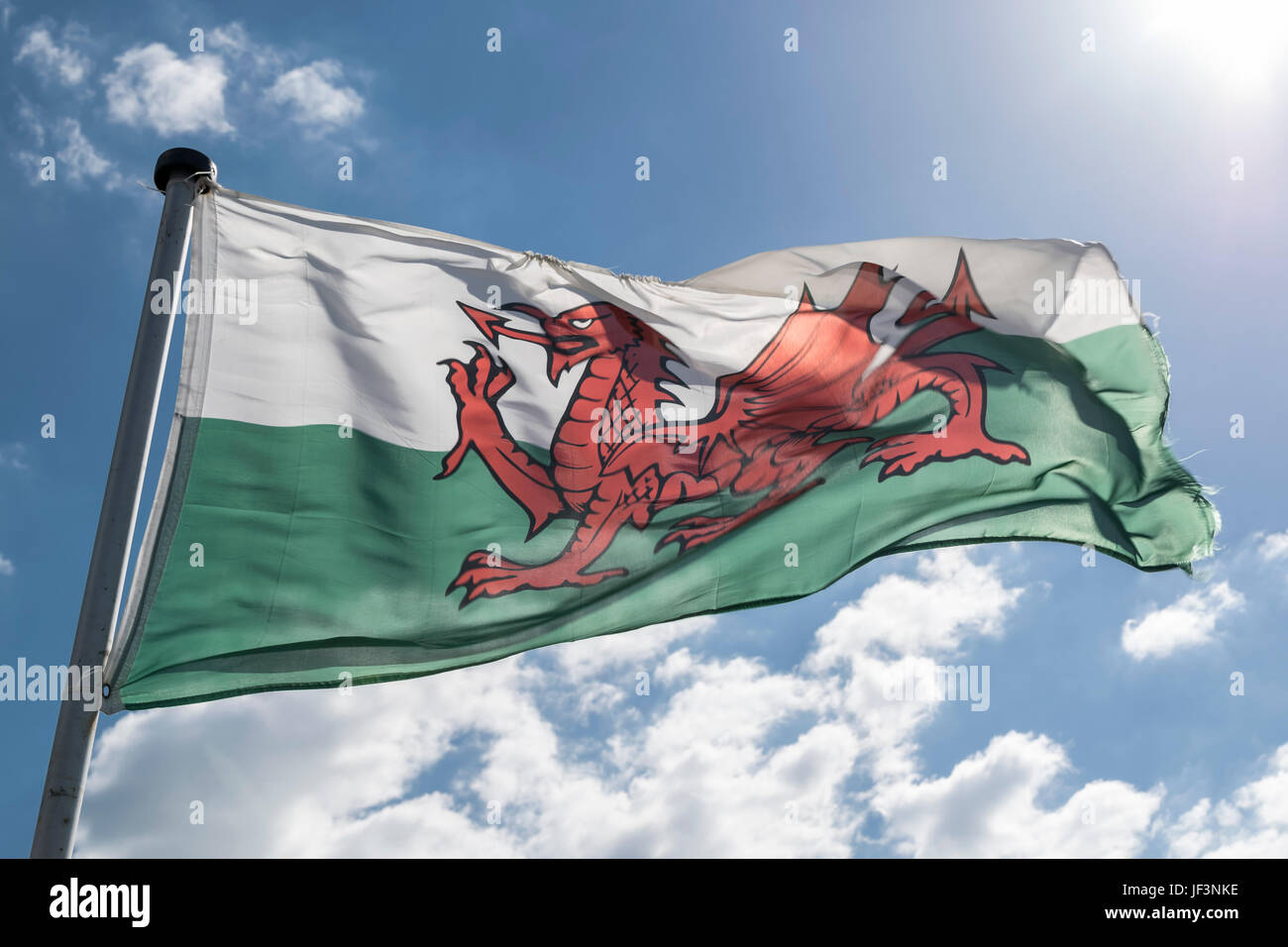 Die Flagge von Wales Stockfoto
