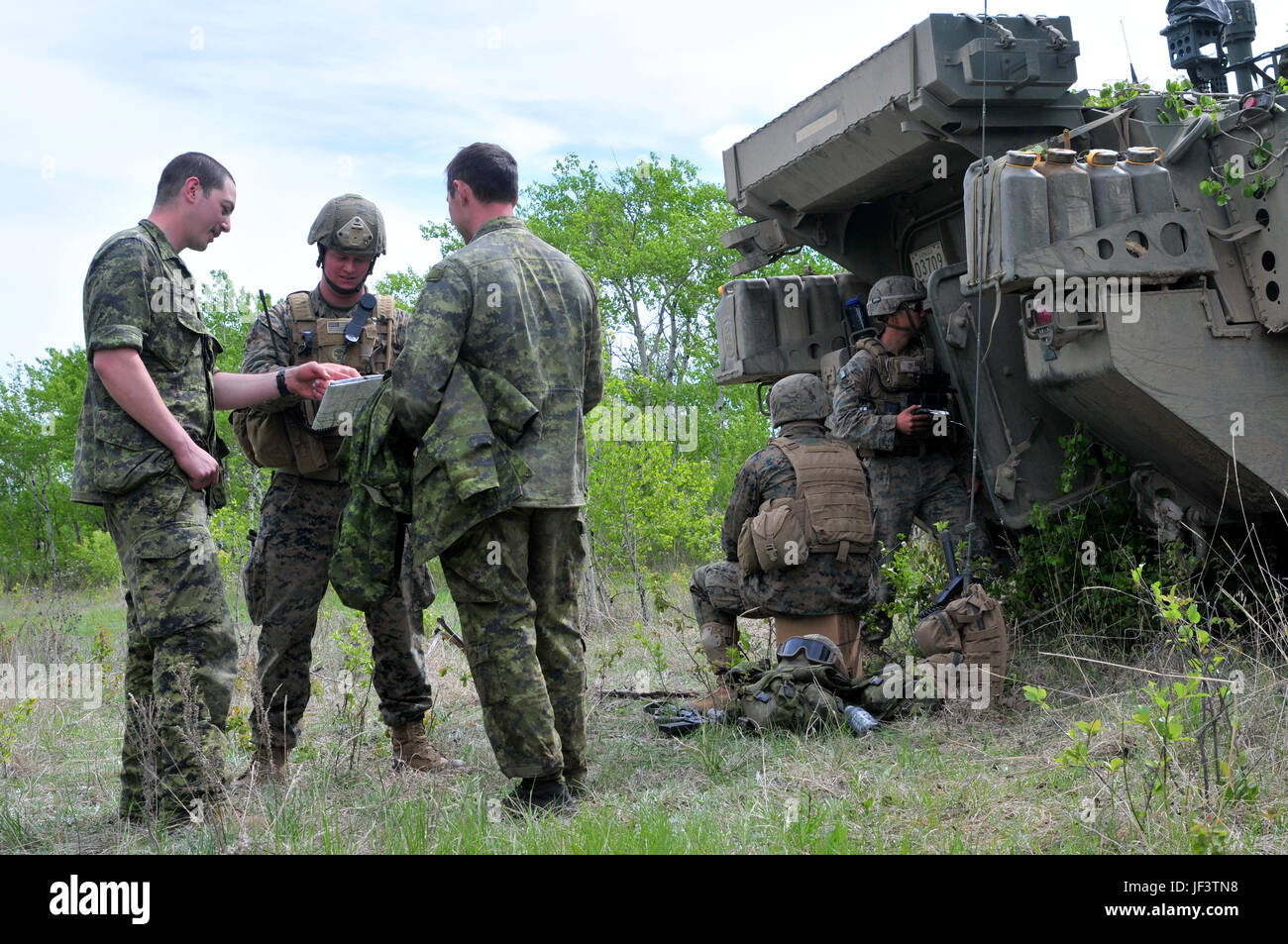 Marine CPL. Todd Brooks, ein Funker mit 3rd Air Naval Gunfire Liaison Company, überprüft das Einsatzgebiet mit Soldaten aus 2 Royal Canadian Regiment auf einer Aufklärungsmission in Maple lösen 17 am Camp Wainwright, Alberta, Kanada, am 23. Mai 2017.  Die Reserve-Einheit von Bell Gardens, Kalifornien, Anruf vorgesehenen Feuerunterstützung während der kanadischen Armee führende Brigade-Ebene Validierung Übung entwickelt, um Einheit Bereitschaft und Interoperabilität zu verbessern. (Foto: US-Armee Sgt. Sarah Zaler) Stockfoto