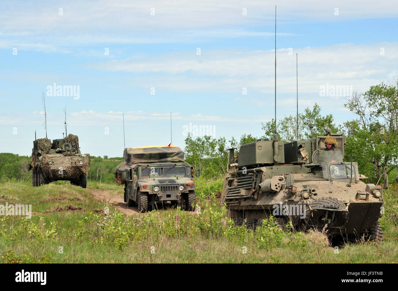 Marines und kanadische Soldaten führen während der Maple Resolve 17 in Camp Wainwright eine Aufklärungsmission durch, um Bereitschaftsbereitschaft und Interoperabilität zu verbessern. Stockfoto