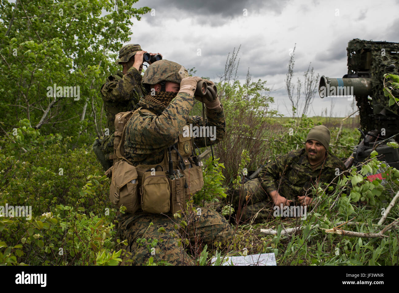 Marines der 3rd Air Naval Gunfire Liaison Company und kanadische Soldaten des 2nd Royal Canadian Regiment führen die Zielsuche durch und koordinieren die Feuerunterstützung während der Übung Maple Resolve 17 in Camp Wainwright, Kanada, für internationale Ausbildung und operative Integration. Stockfoto