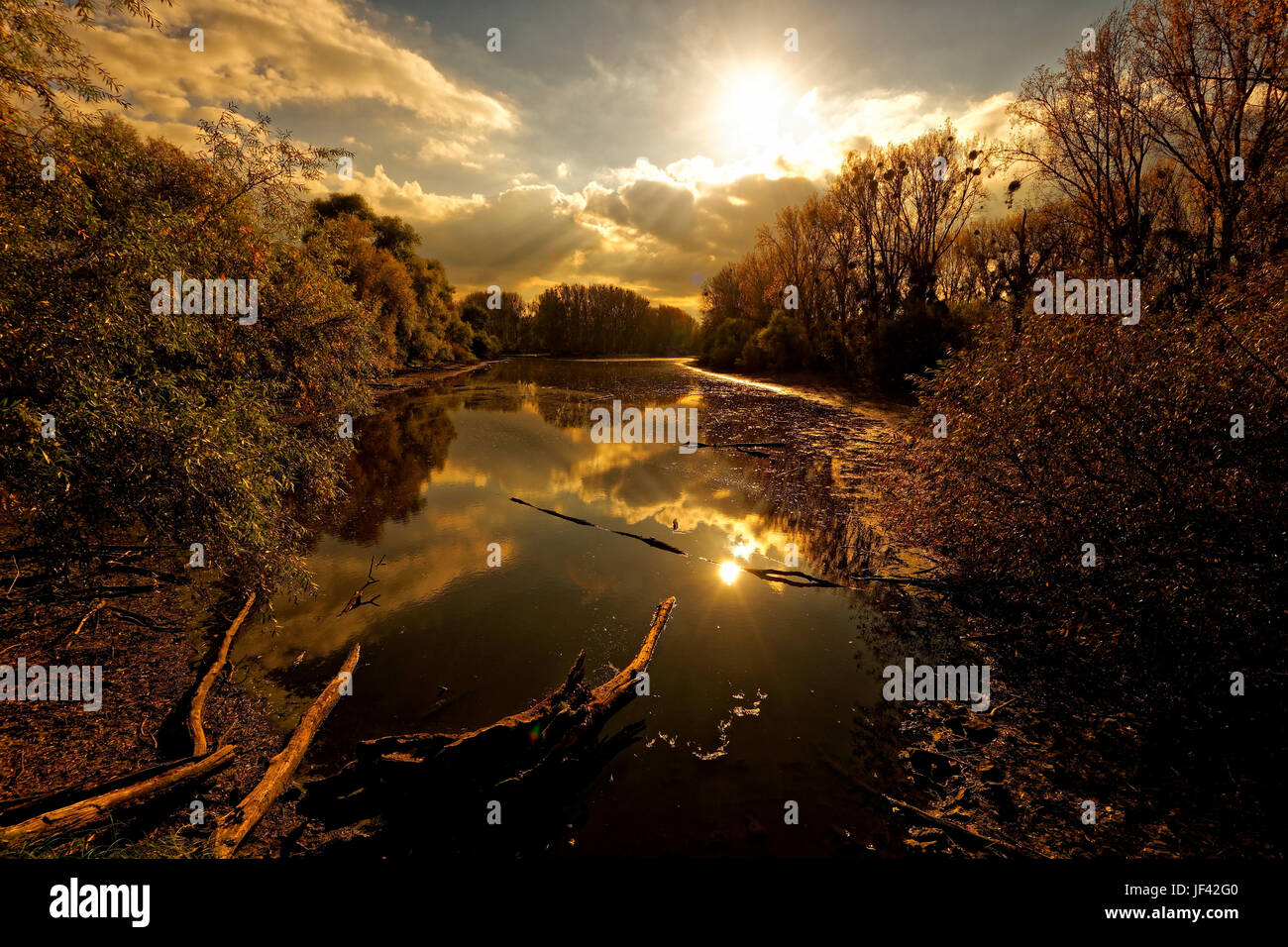 Schusterswoerth finden Alten Rhein Stockfoto