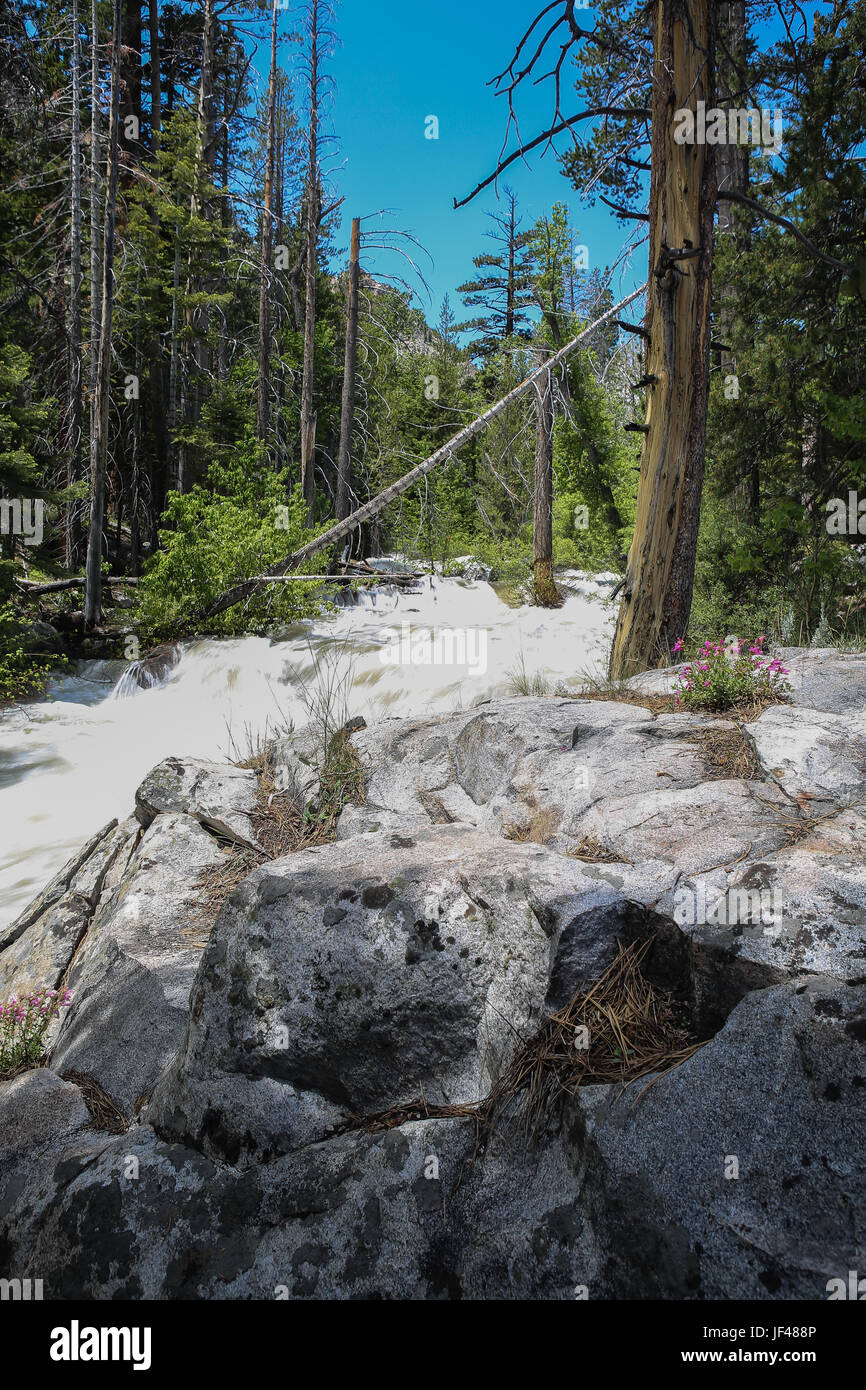 Lee Vining Canyon Fluss in vollem Gange in 2017 Schnee schmelzen nach Rekord Schneefall im Winter kurz nach diesem Bild, die der Canyon evakuiert wurde Stockfoto