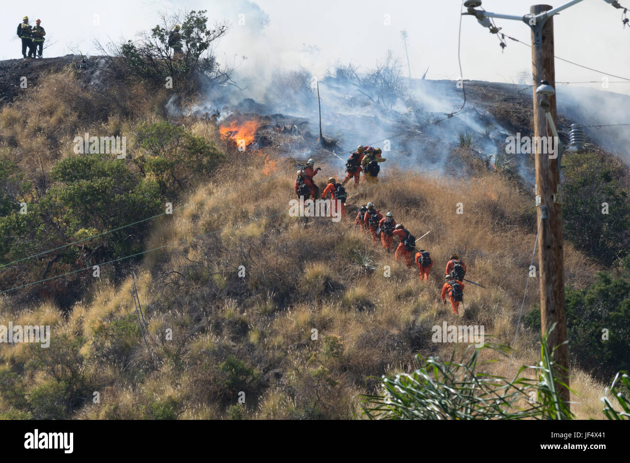 Burbank, CA, USA 28. Juni 2017 Buschfeuer auf einem Hügel in Burbank CA. Feuerwehrleute konnten alle Wohnungen Kredit sparen: Chester Brown/Alamy Live News Stockfoto