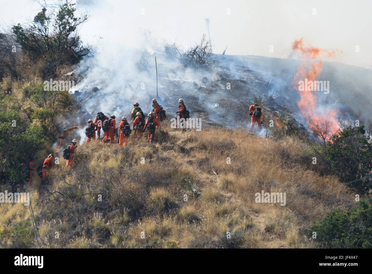 Burbank, CA, USA 28. Juni 2017 Buschfeuer auf einem Hügel in Burbank CA. Feuerwehrleute konnten alle Wohnungen Kredit sparen: Chester Brown/Alamy Live News Stockfoto