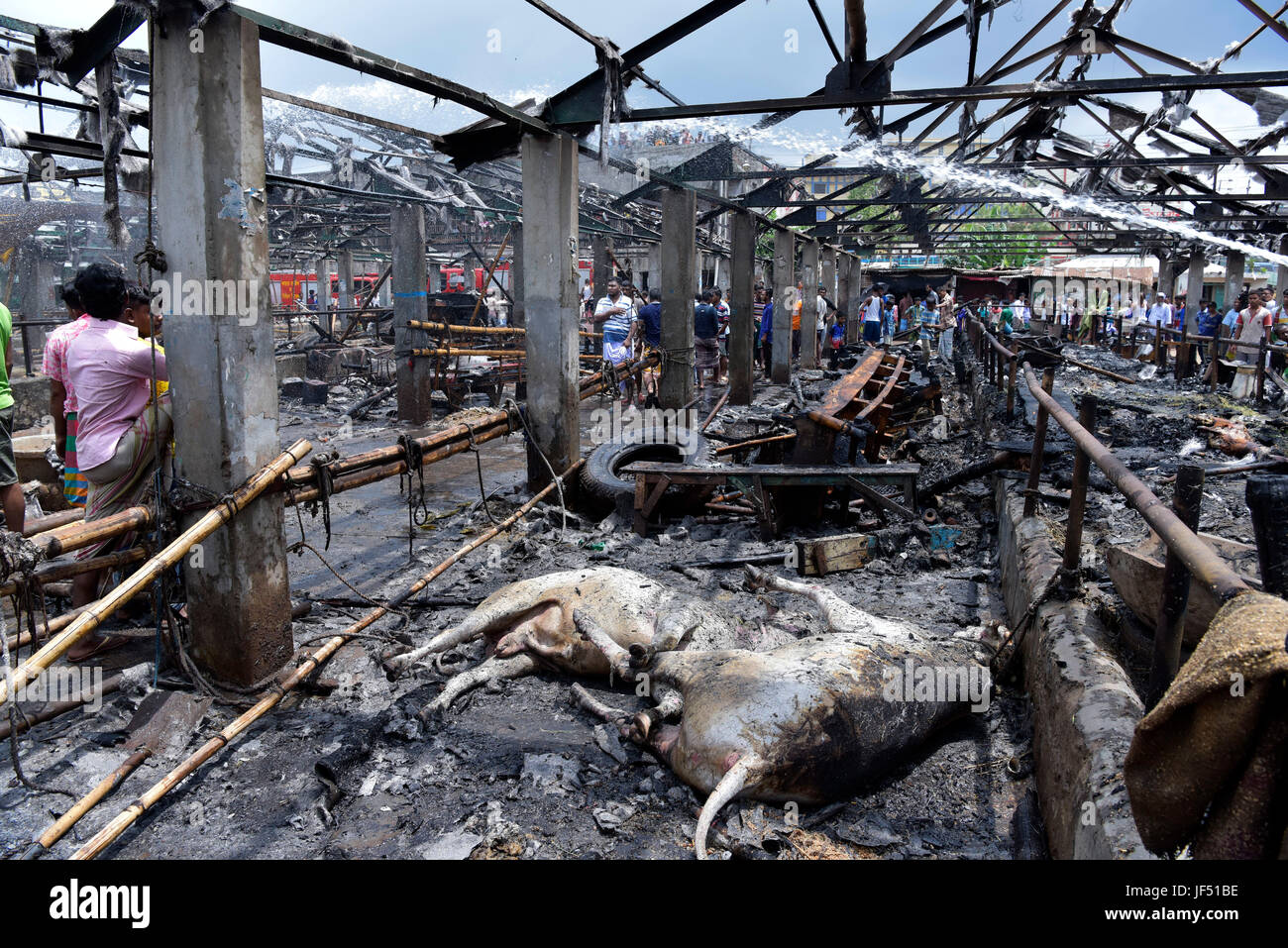 Dhaka, Bangladesch. 29. Juni 2017.  Tote Tiere lag am Boden des Gabtoli Vieh, zerstört durch einen Brand in Dhaka, Bangladesch, 29. Juni 2017 zu vermarkten. Rund 13 wurden Kühe und 26 Ziegen getötet, als der Markt um 10:00 Donnerstag gefangen Feuer. Bildnachweis: SK Hasan Ali/Alamy Live-Nachrichten Stockfoto