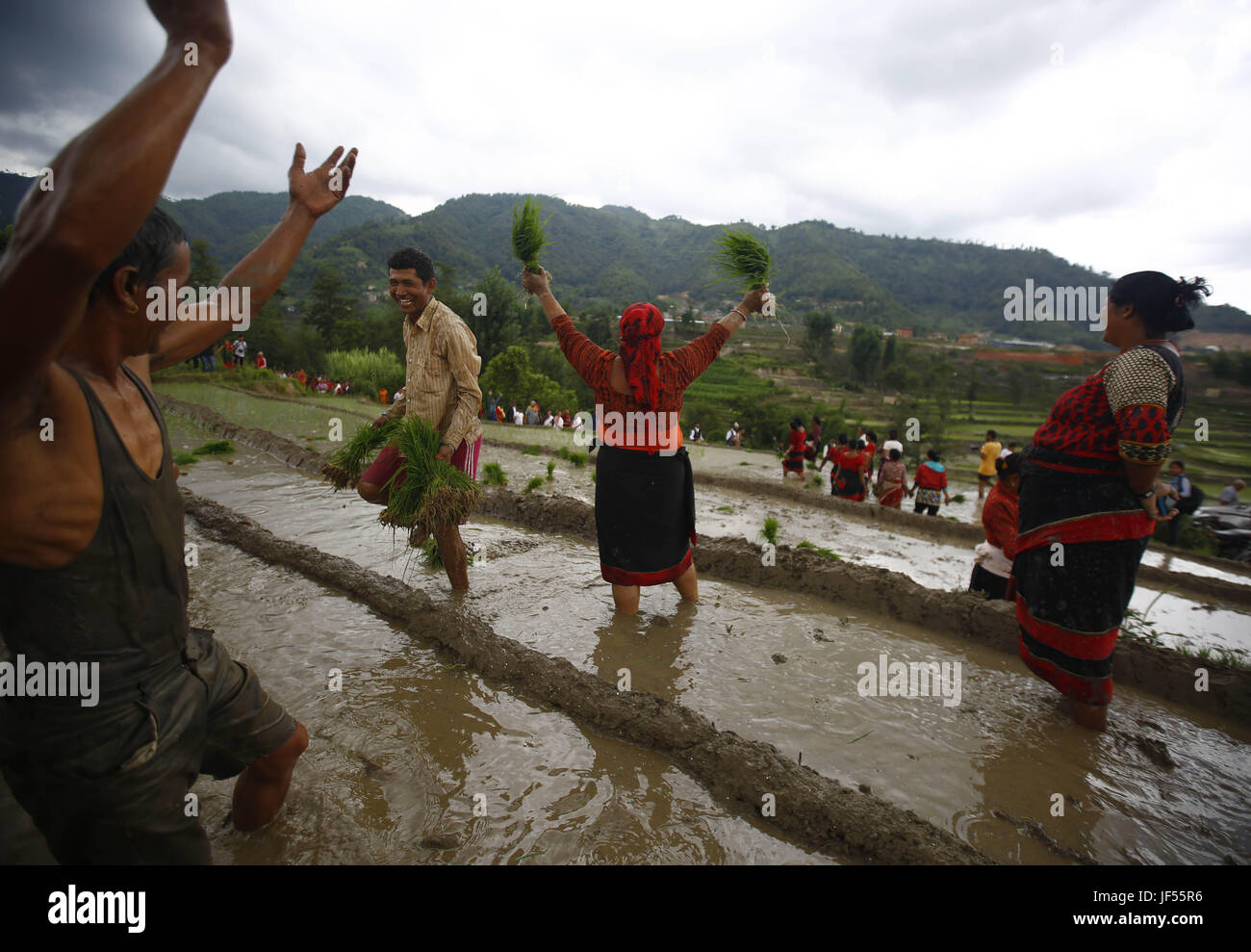 Bhaktapur, Nepal. 29. Juni 2017. Bauern tanzen und singen um Ropai Festival in Bhaktapur, Nepal oder nationalen Paddy Tage zu feiern. An diesem Tag auch bekannt als Asar Pandra Bauern Pflanzen Reis und feiern Sie den Tag mit schlammigen Wasser-Aktivitäten, der markiert den Beginn der Reis Getreide anpflanzen. Bildnachweis: Skanda Gautam/ZUMA Draht/Alamy Live-Nachrichten Stockfoto