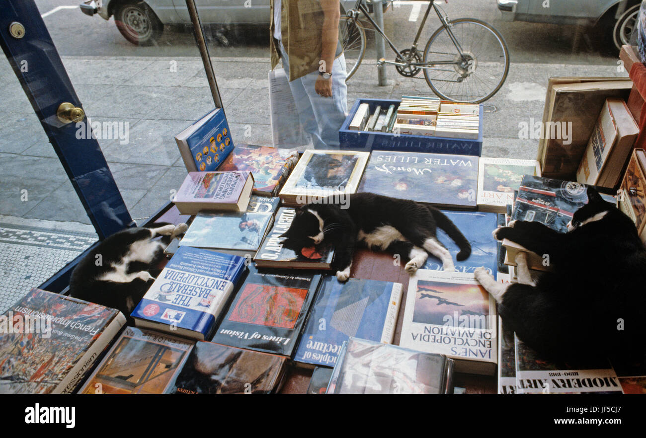 Retro Images 1990er Jahre, Katzen, die im Buchladen schlafen, Schaufenster entlang der „AVE“ im U District Seattle Washington State USA Stockfoto
