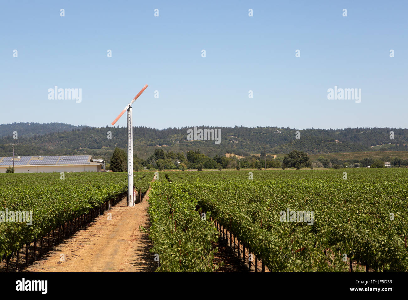 Ein Windturm steht in der Nähe von einem Weingut unter Reihen von Trauben Weingüter im Napa Valley. Stockfoto