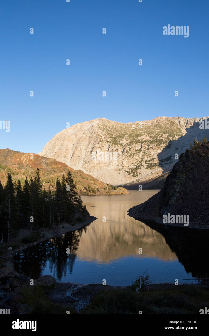 Berge im Yosemite-Nationalpark in Ellery Lake spiegeln. Stockfoto