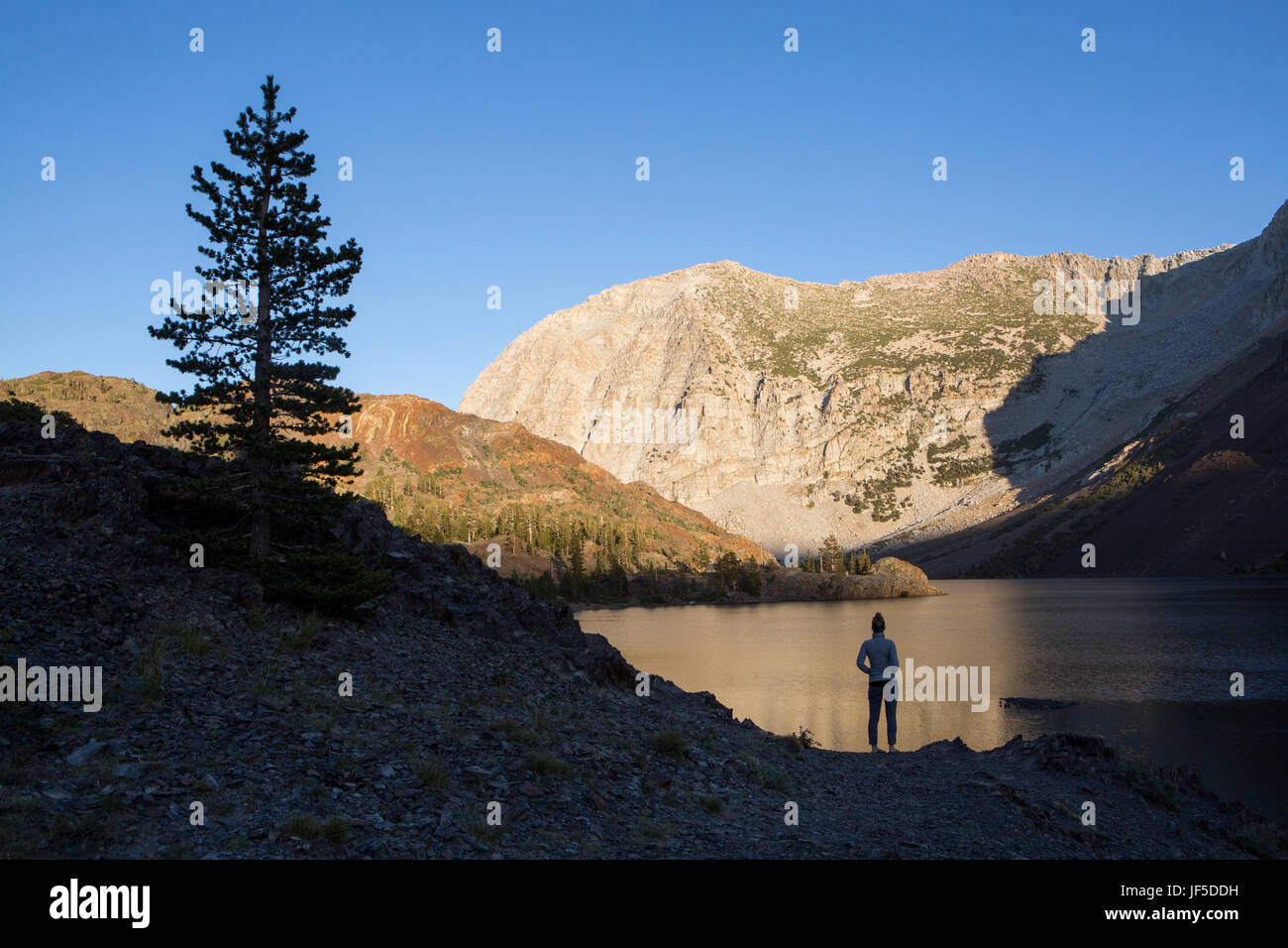 Ein Besucher zum Yosemite National Park steht an der felsigen Küste von Ellery Lake. Stockfoto