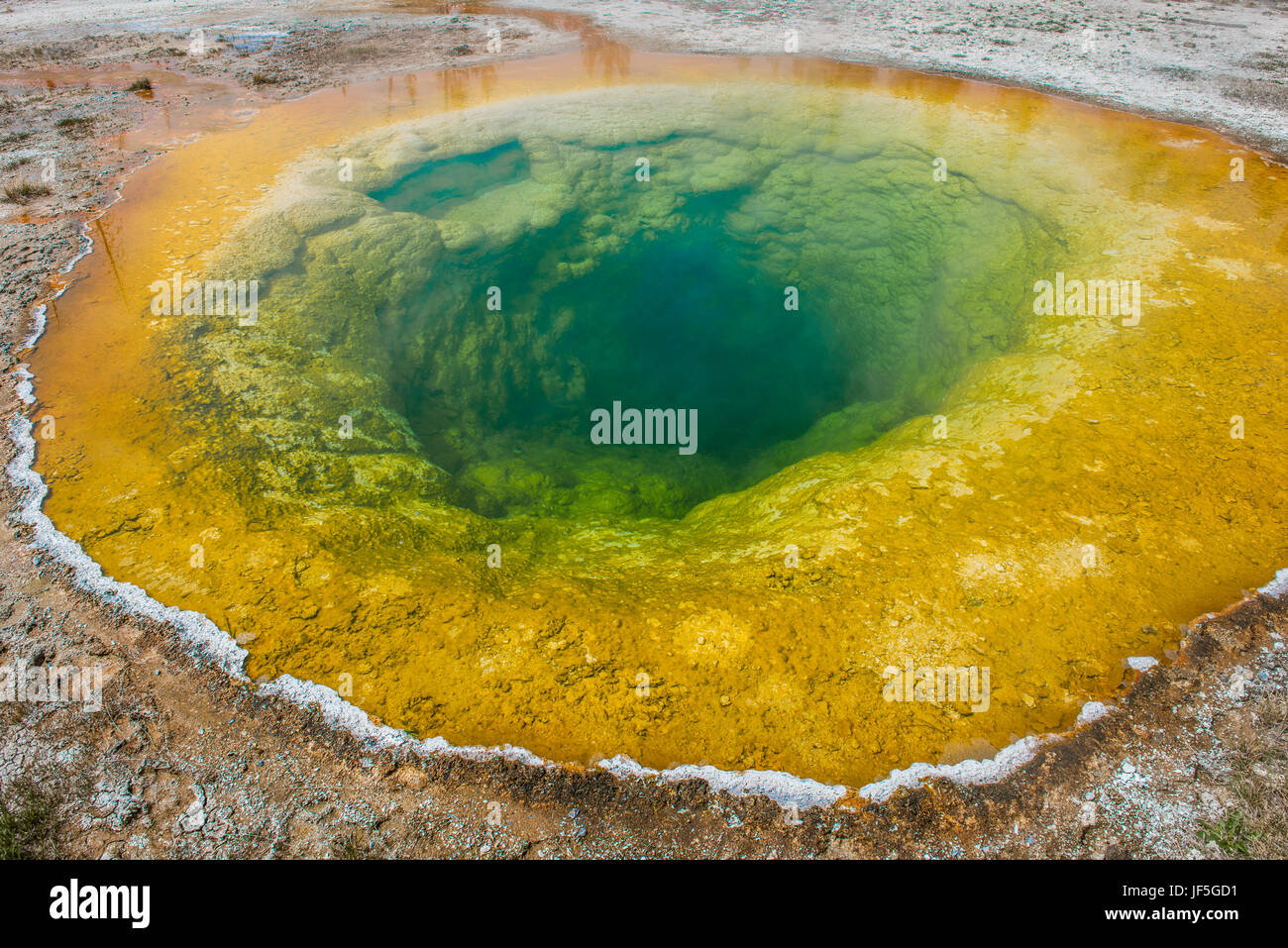 Morning Glory, Thermalbecken, Yellowstone-Nationalpark, Wyoming USA von Bruce Montagne Stockfoto