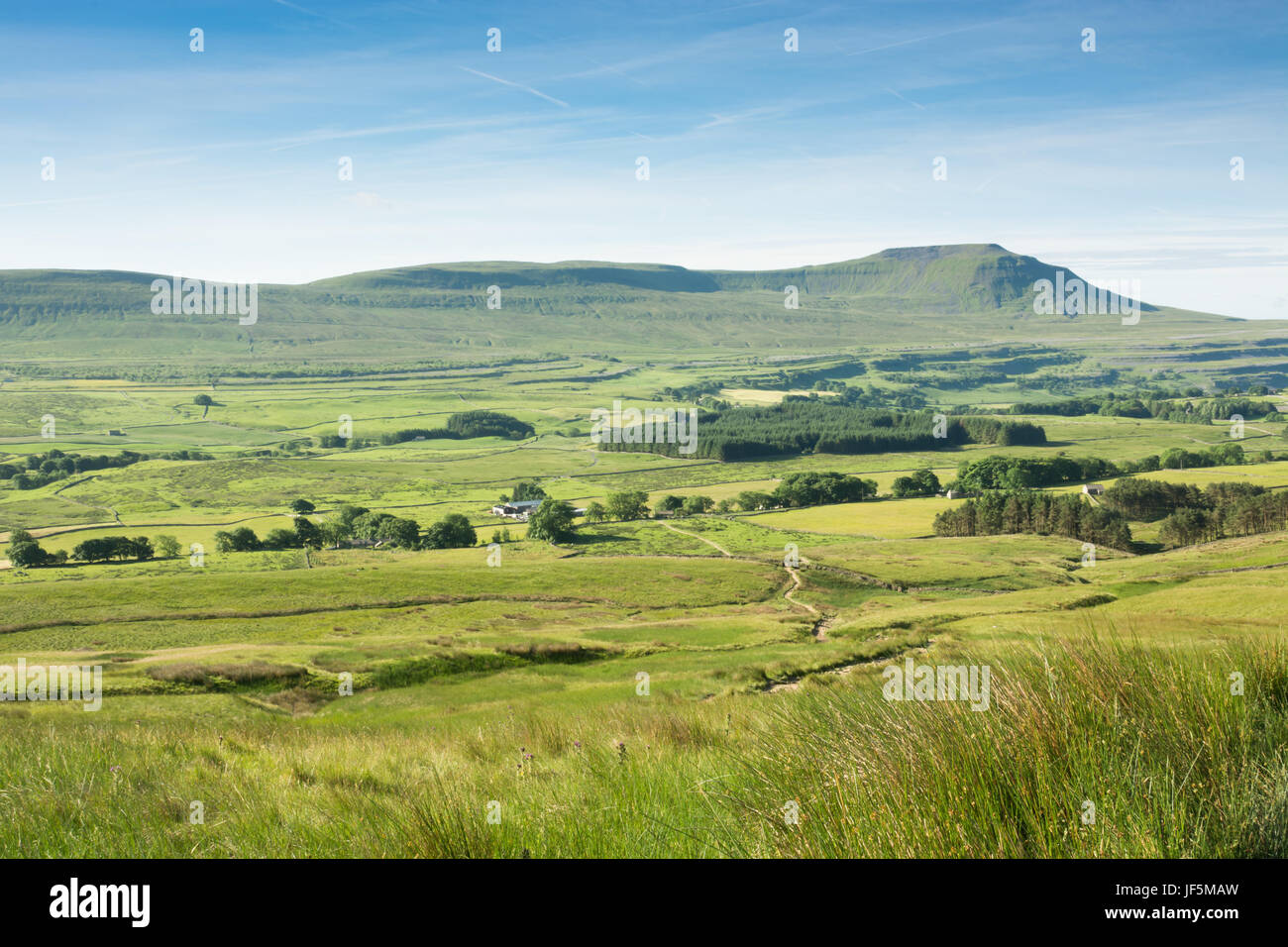 Ingleborough aus Wherside Stockfoto