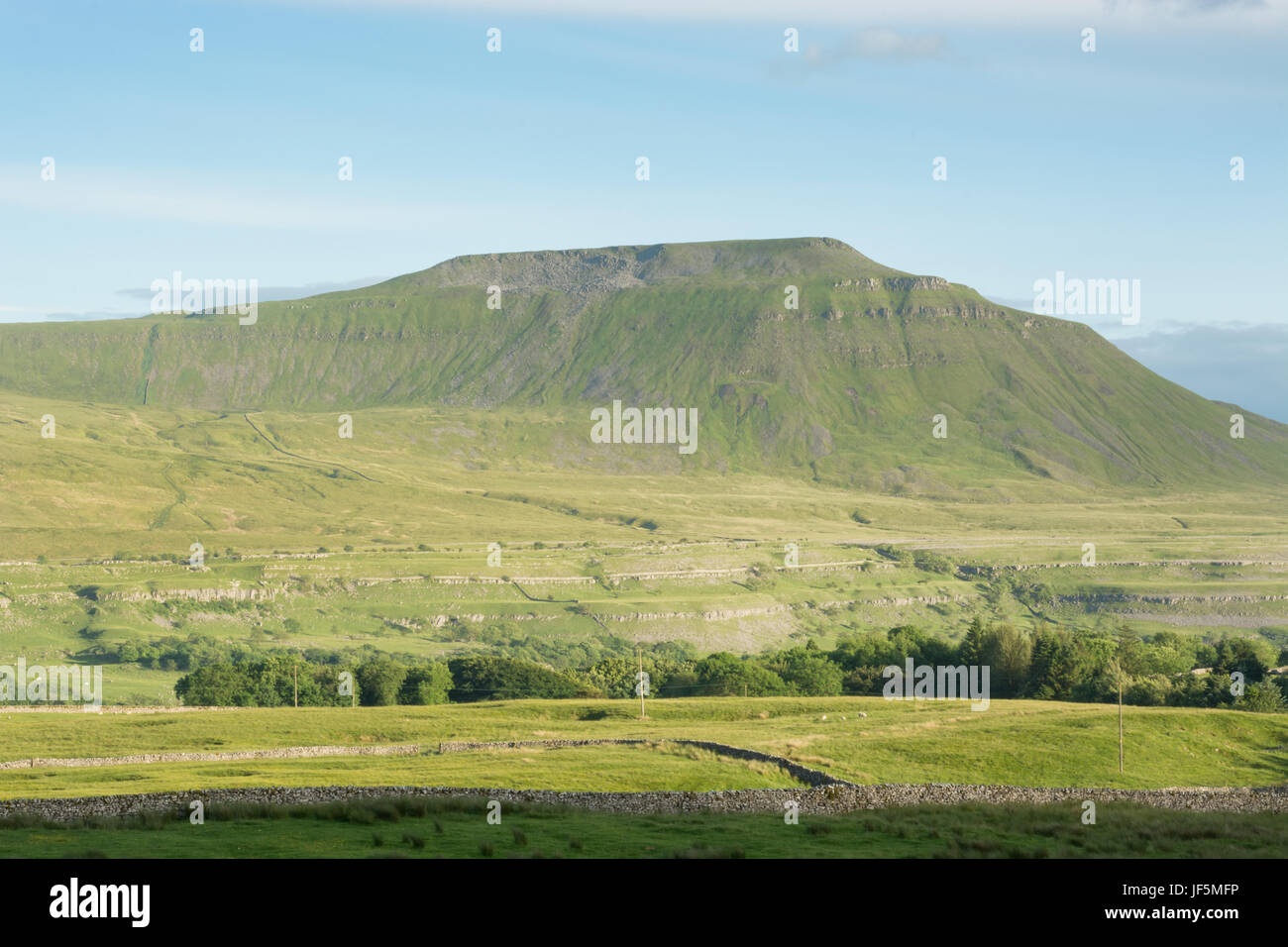 Ingleborough aus Wherside Stockfoto