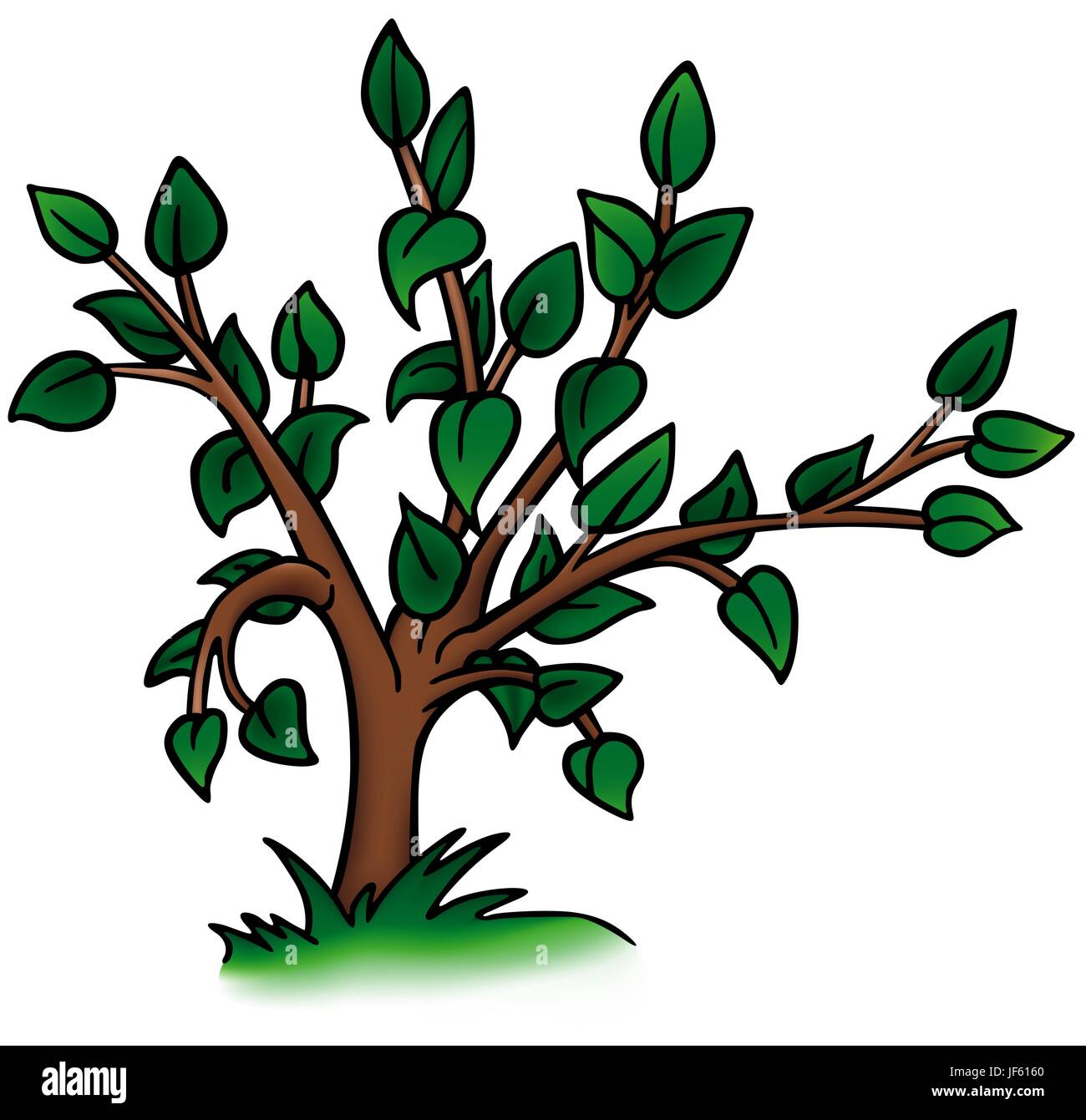 Blatt Comic Baum Stamm Flora Botanik Illustration Zweig Humorvoll Stock Vektorgrafik Alamy