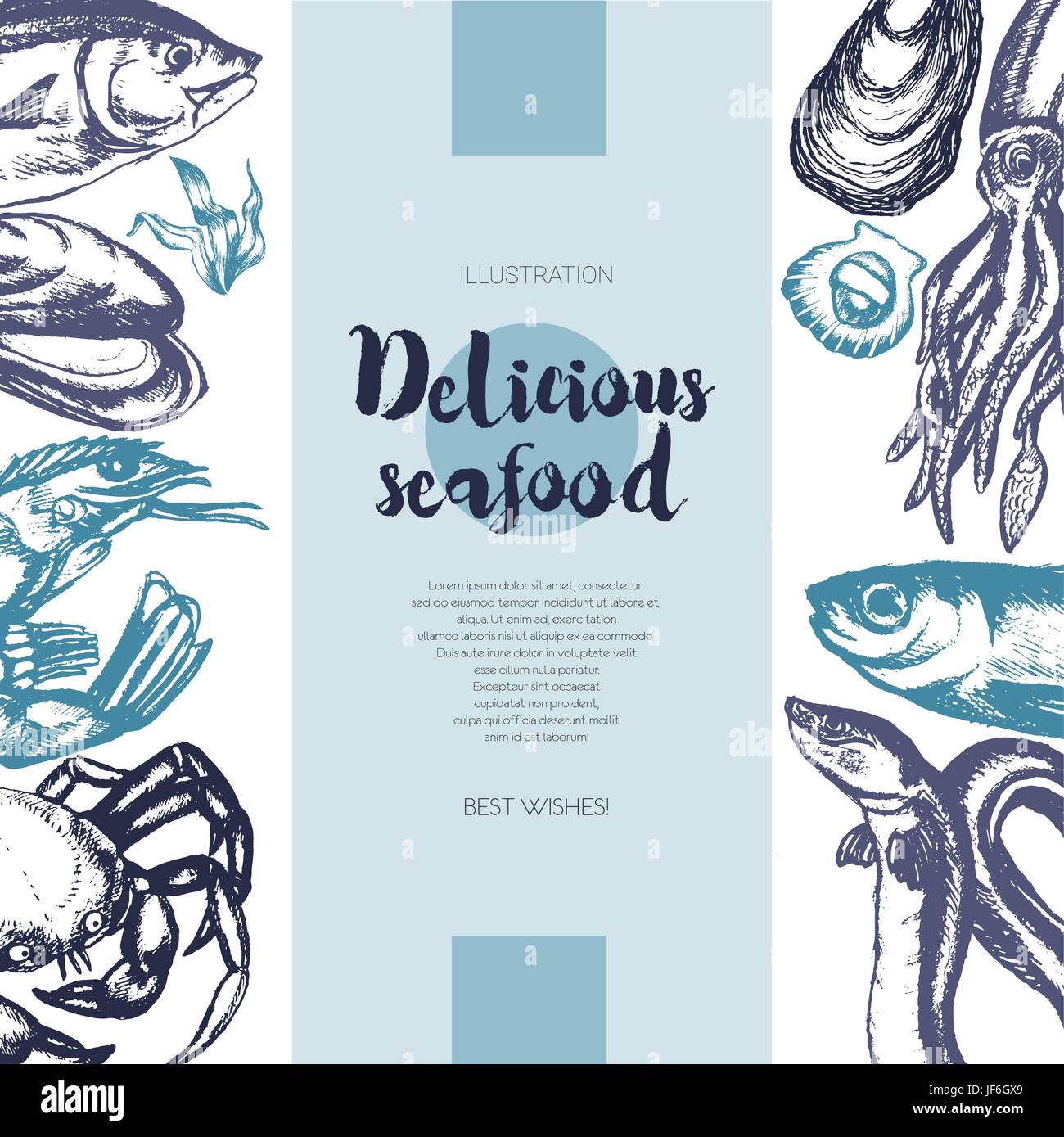Köstliche Meeresfrüchte - Farbe Vektor Hand gezeichnete Vintage Banner Vorlage, Postkarte Vorlage mit Textfreiraum. Realistische Alge, Algen, Tintenfisch, Krabben, Garnelen, Stock Vektor