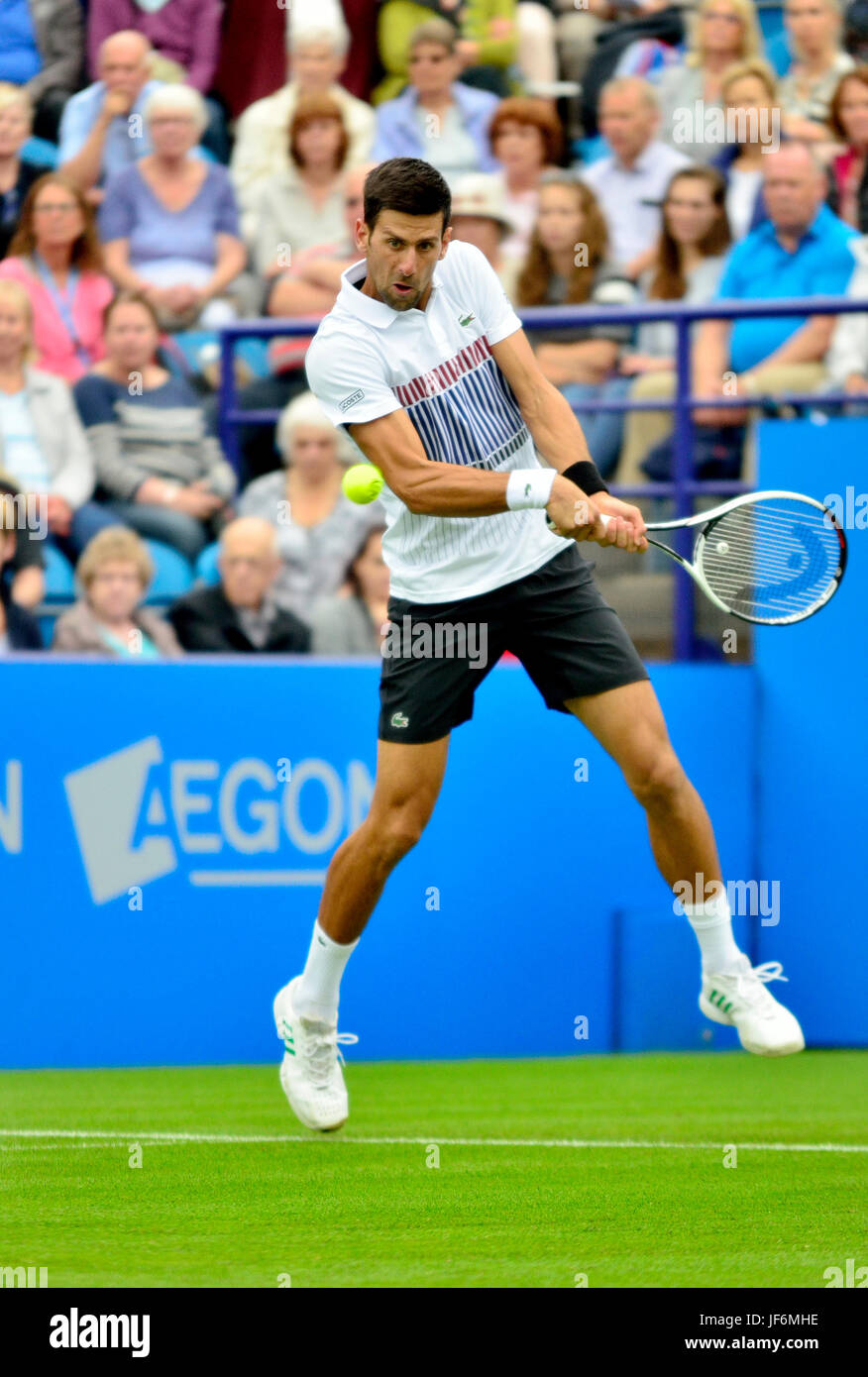 Novak Djokovic (Serbien) spielen sein erste Match auf dem Centrecourt in Devonshire Park, Eastbourne, während die Aegon International 2017 Stockfoto