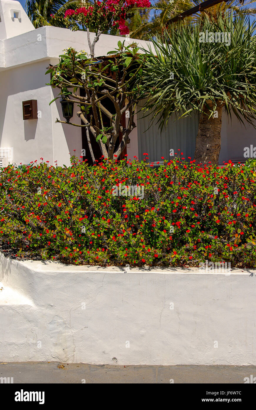Lanzarotic Wohnarchitektur mit ummauerten Vorgarten, Kanarische Inseln Stockfoto