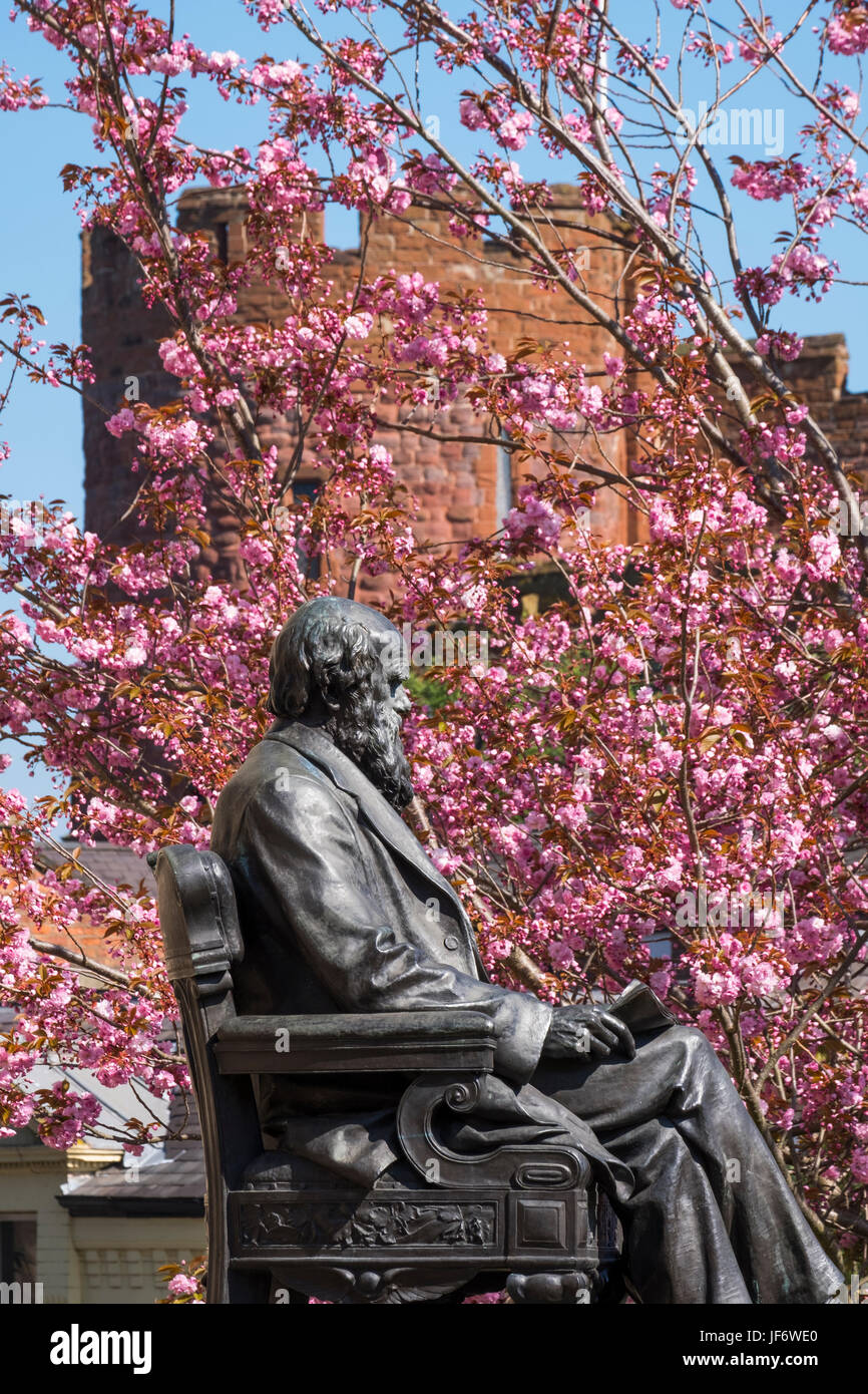 Die Charles Darwin-Statue außerhalb Shrewsbury Bibliothek mit Kirschblüten und Shrewsbury Castle im Hintergrund, Shropshire, England. Stockfoto