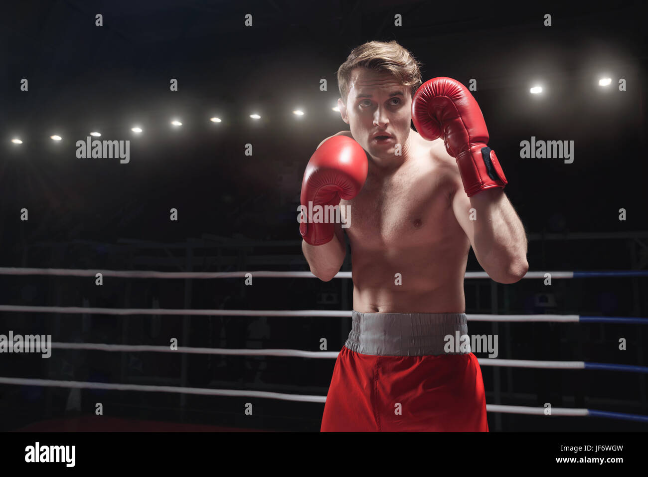 Boxer in den Boxring Stockfoto