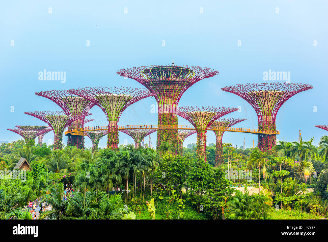 SINGAPUR - 5. SEPTEMBER 2015: Supertrees at Gardens by the Bay. Stockfoto