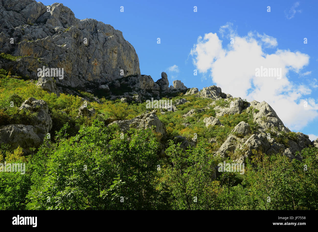 Landschaft, Canyon, Berge, Kroatien, Europa Stockfoto