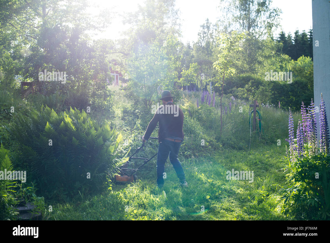 Mann im Garten Rasen mähen Stockfoto