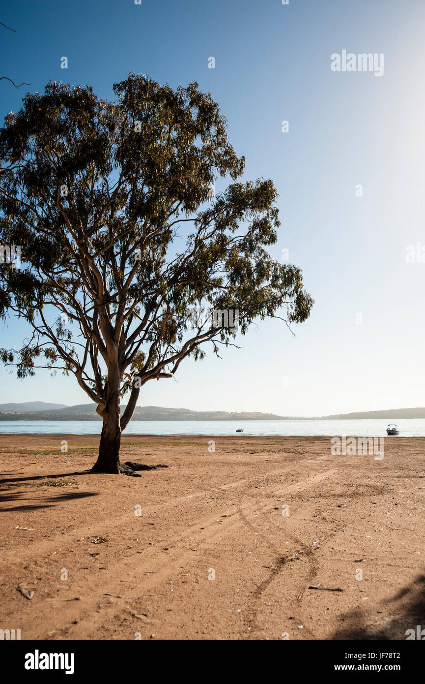 Viktorianische Hochland, Australien Stockfoto