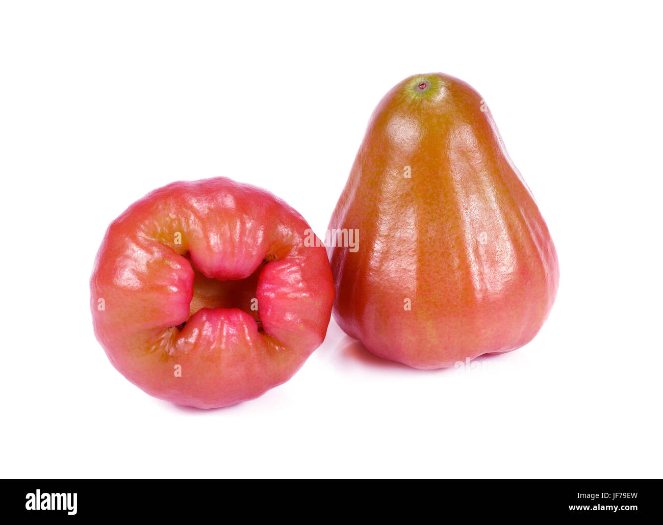 Rosenapfel auf dem weißen Hintergrund Stockfoto