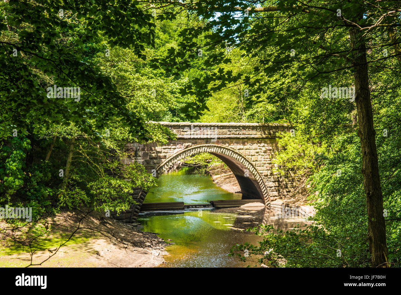 Baldachin über den Derwent Bridge Ray Boswell Stockfoto