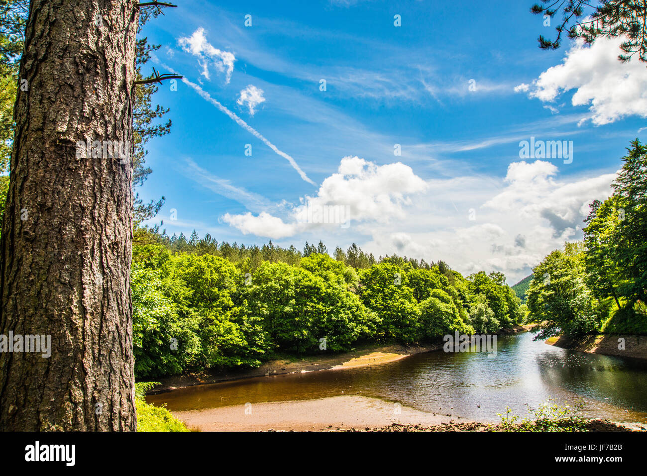 über den Derwent Derbyshire Ray Boswell Stockfoto