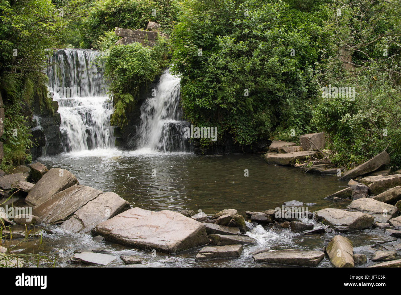 "Verborgene Wasserfall" in Penllergare Valley Woods, Swansea, Wales Stockfoto