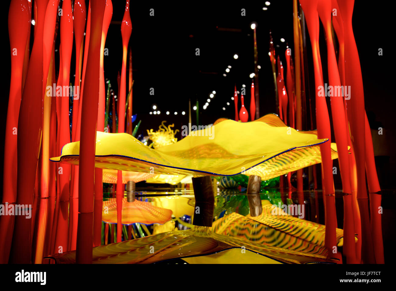 SEATTLE, WASHINGTON, USA - 23. Januar 2017: Glasbläserei in abstrakten Formen der Blumen in rot und gelb, ausstellen von amerikanischen Künstler Dale Chihuly im Chihuly Garden und Glasmuseum Stockfoto