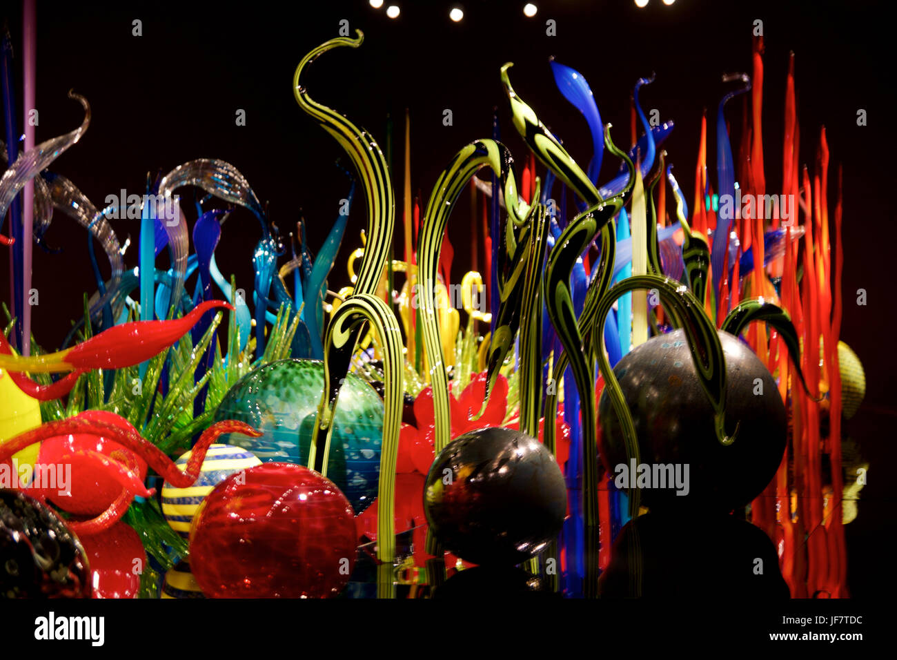 SEATTLE, WASHINGTON, USA - 23. Januar 2017: Glasbläserei in abstrakten Formen der Blumen in rot und gelb, ausstellen von amerikanischen Künstler Dale Chihuly im Chihuly Garden und Glasmuseum Stockfoto