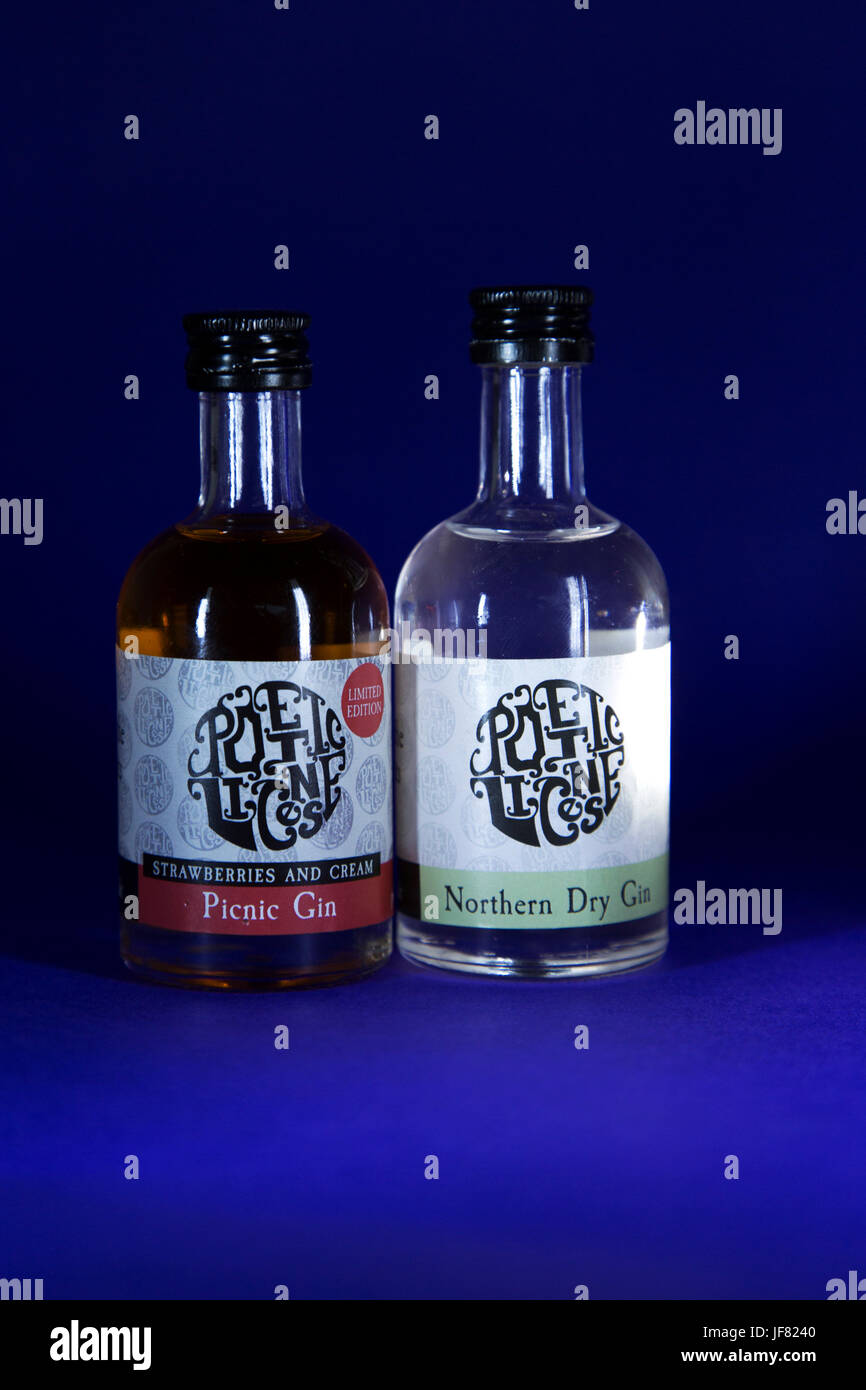 Picknick-Gin, eine Limited Edition Gin aromatisiert mit Erdbeeren und Sahne und nördlichen Dry Gin. Stockfoto