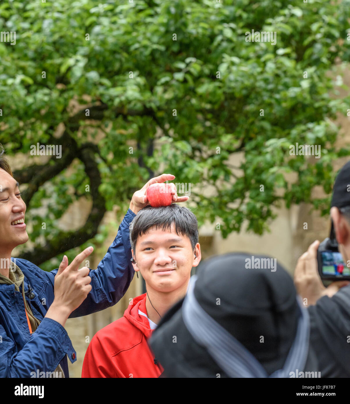 Männlichen chinesischen Touristen posiert mit einem Apfel auf dem Kopf vor einem Apfelbaum am Trinity College in Cambridge, wo Isaac Newton lebte und lehrte. Stockfoto