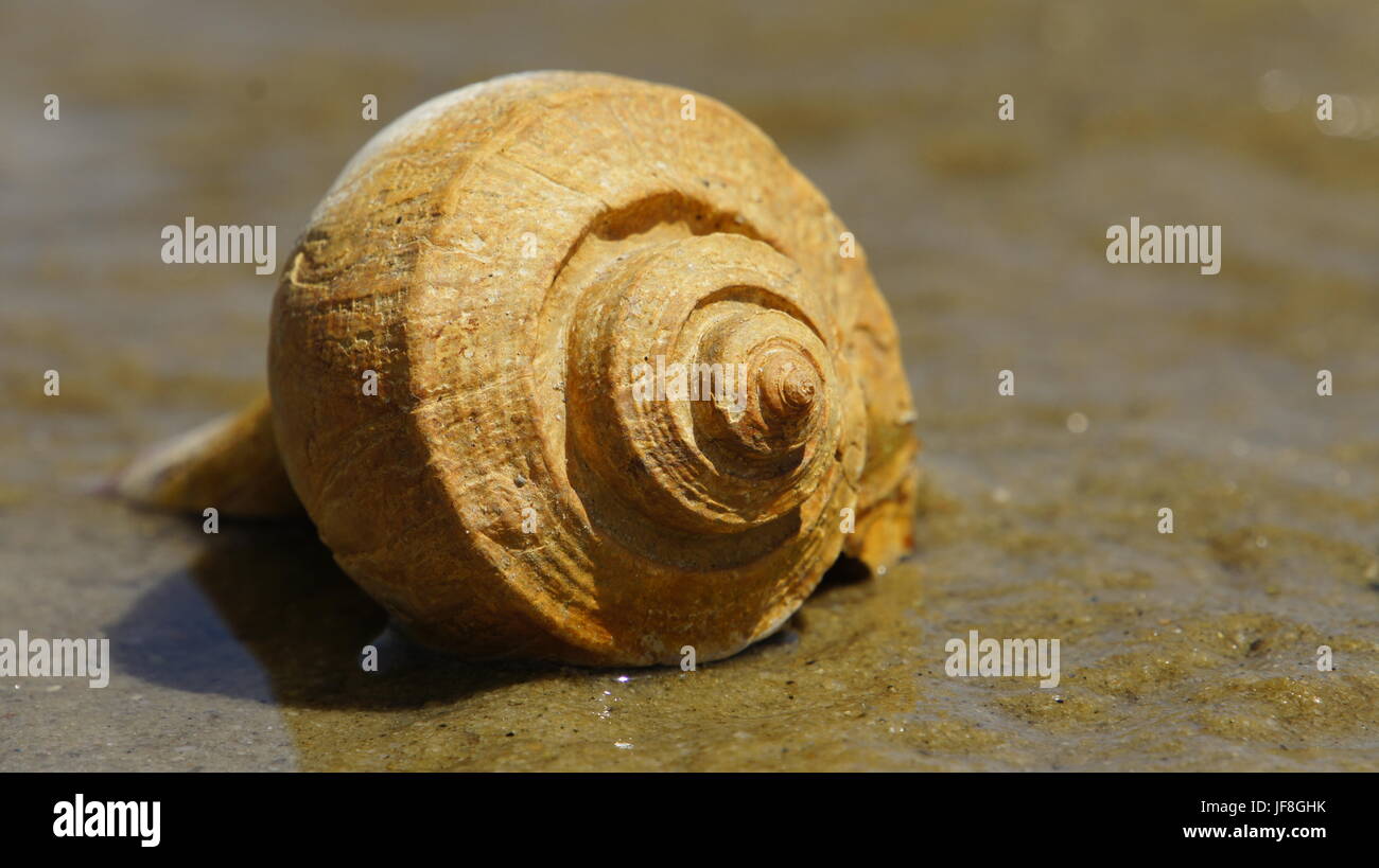 zufällige Bilder habe ich am Strand. Perfekt für einen Rahmen an der Wand Stockfoto