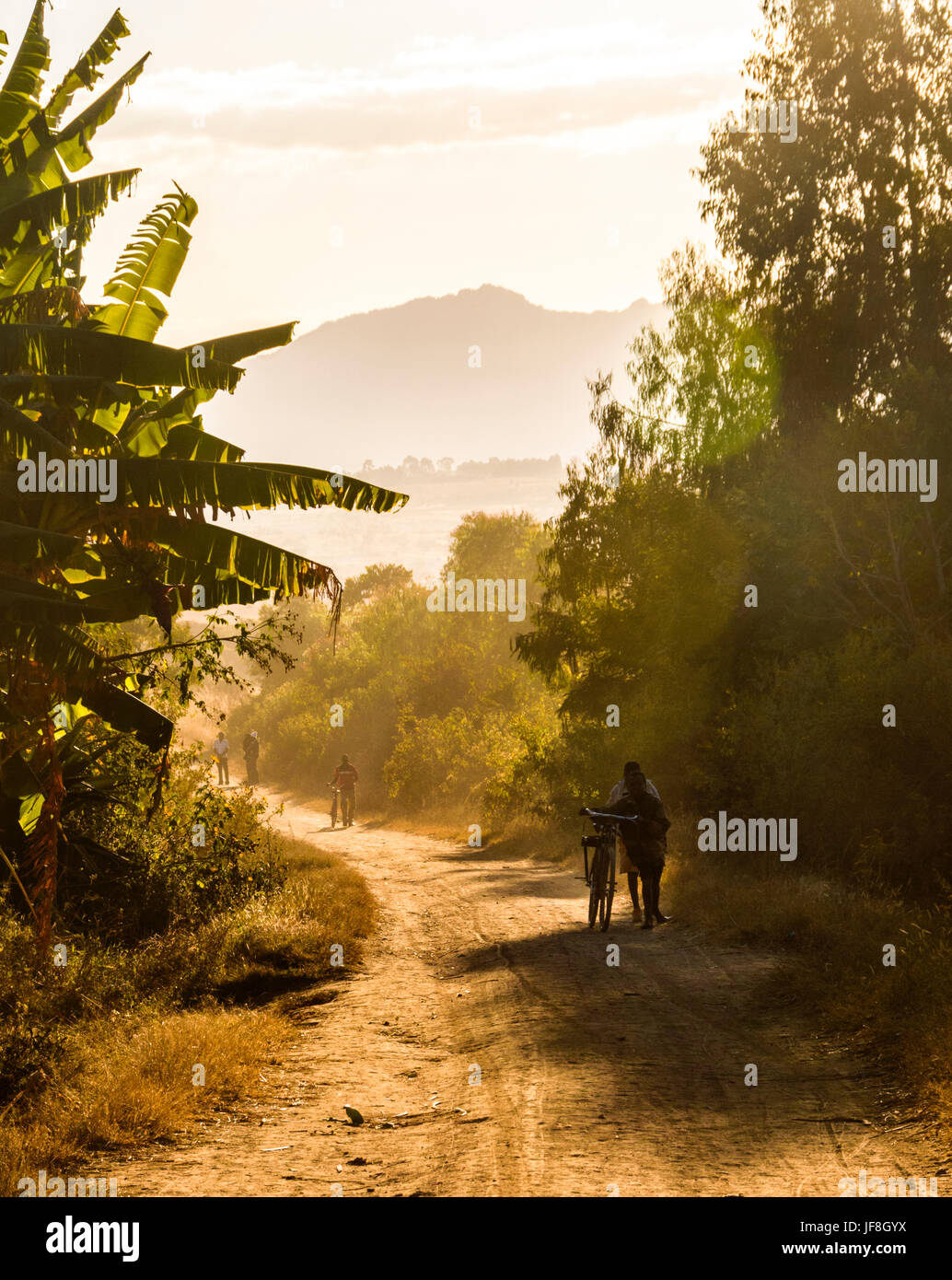 Reisende drängen Fahrräder auf einer unbefestigten Straße in der Nähe von der ländlichen Dorf Tsumba in Malawi, Afrika in die untergehende Sonne Stockfoto