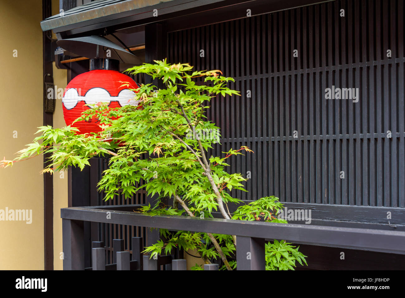 Äußere Nahaufnahme von Restaurant, mit einer jungen japanischen Ahorn Baum und rote Laterne. Gion, Kyoto, Japan. Stockfoto