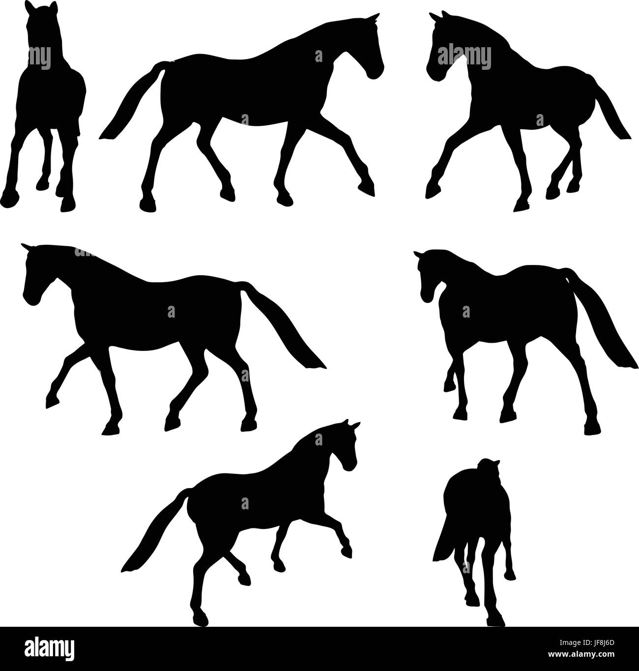 Pferd-Silhouette in Parade-Spaziergang-pose Stock Vektor