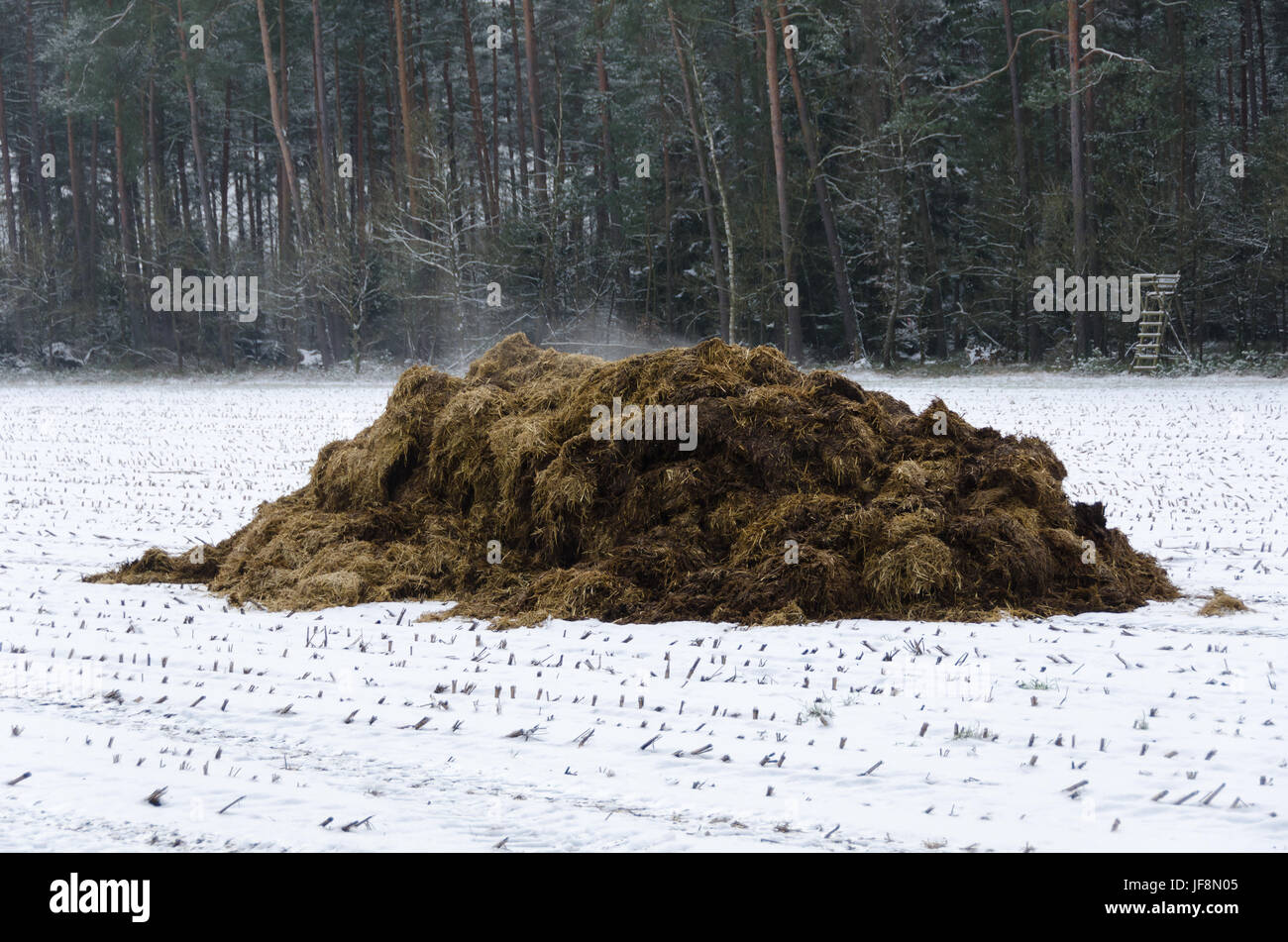 Flächen Kompost Stockfoto
