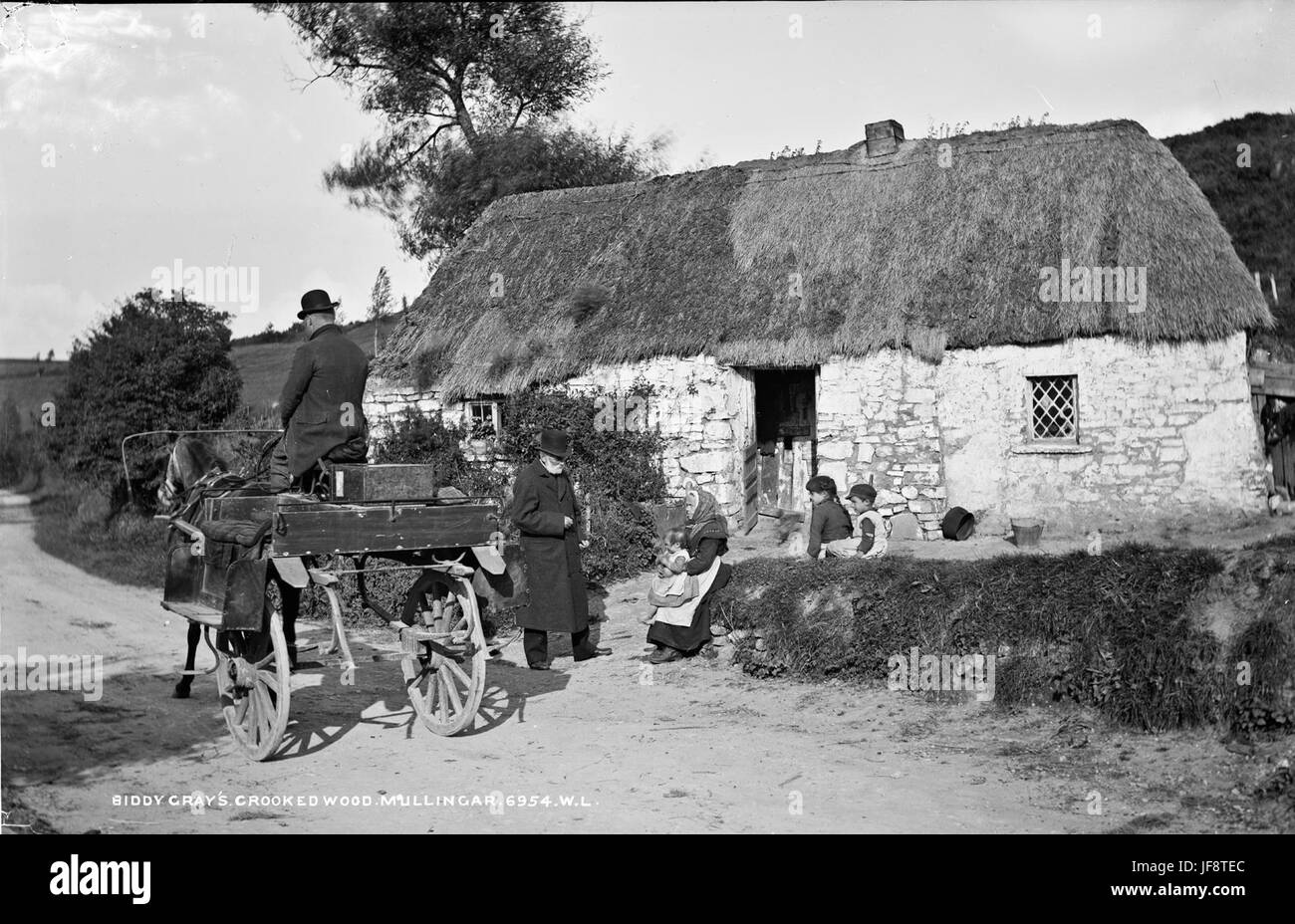 Biddy grau ist Holz, Mullingar, Co. Westmeath 32532046430 o krumm. Stockfoto