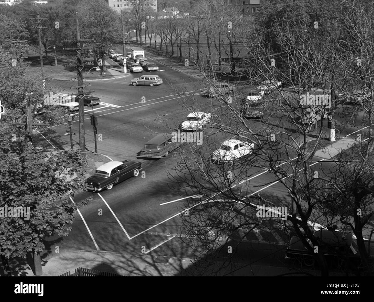 Der Willow Tree in Halifax, Nova Scotia, Kanada, ist ein historisches Wahrzeichen in der Nähe des Ufers. Die Weide ist bekannt für ihre anmutigen Äste und ihre Trauerform und verleiht der Landschaft eine natürliche Schönheit, die den Besuchern der Gegend Schatten und Gelassenheit verleiht. Sie ist seit Generationen ein Symbol des Friedens und der Ruhe in der Region. Stockfoto