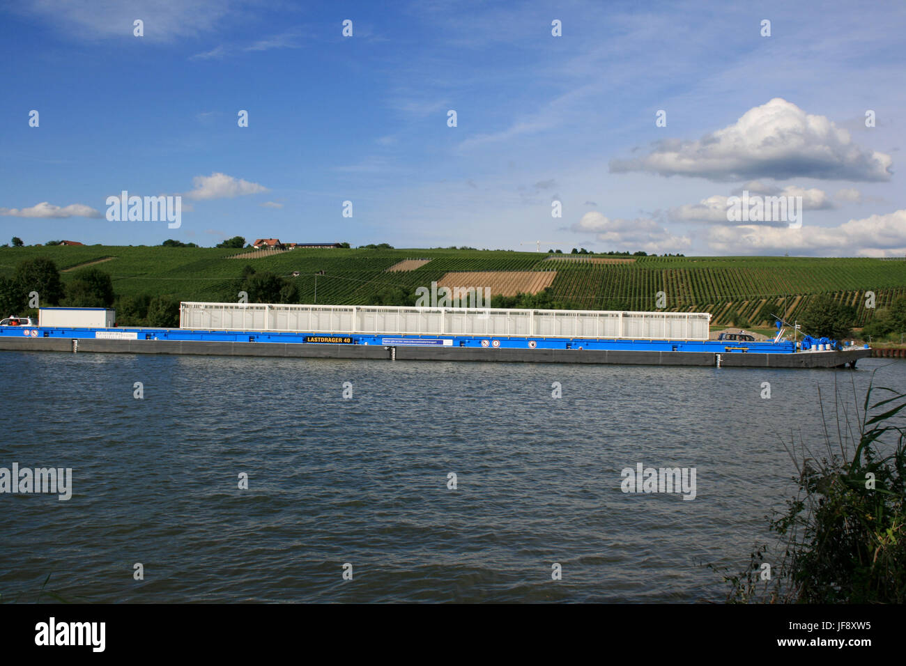 Letzter Krimi-in Neckarwestheim - 1. Castor/Atommüll-Transport Auf Dem Neckar in Deutschland Stockfoto