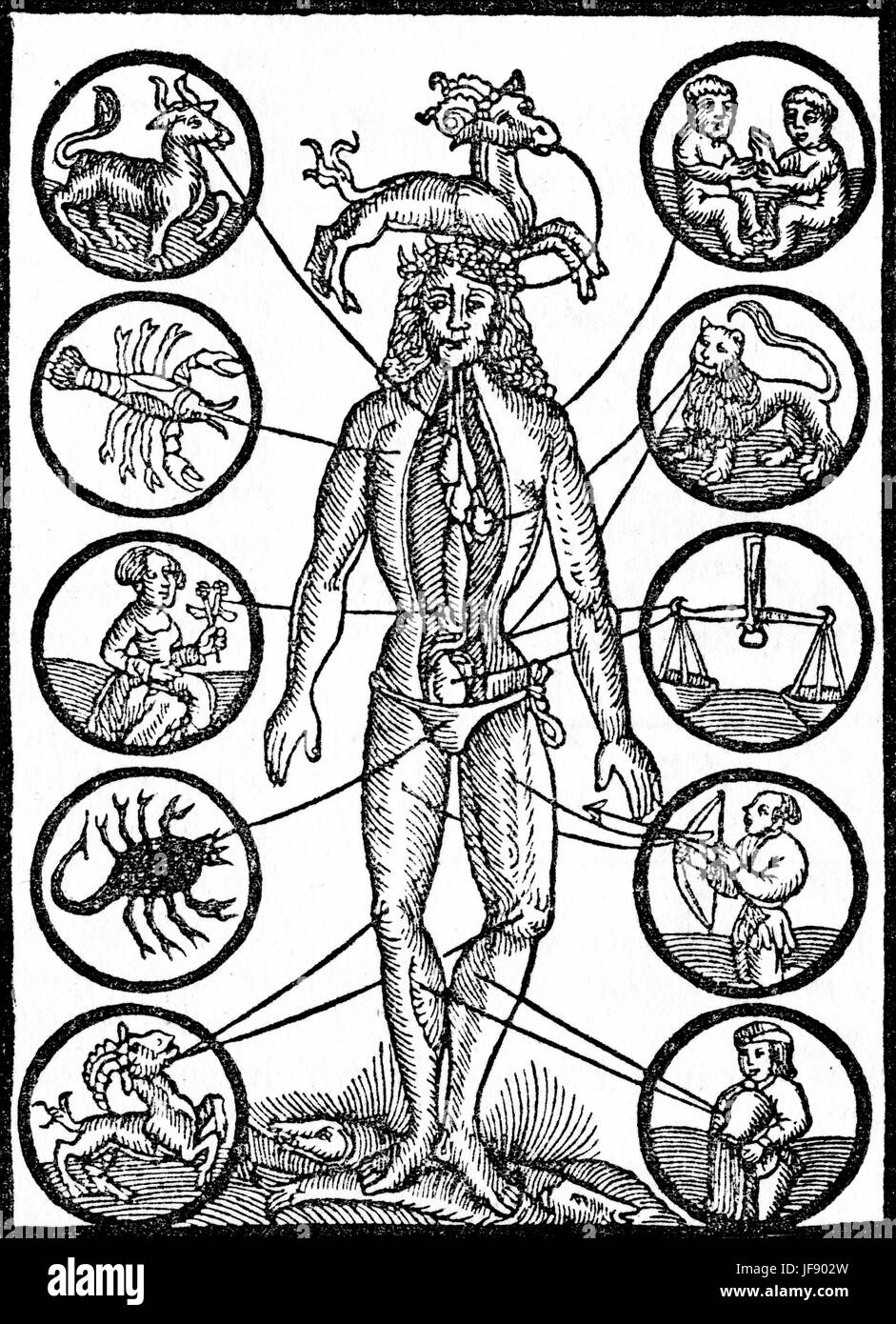 Ein Aderlass Mann oder eine kleine Blutegel, zeigt Punkte der Aderlass auf den menschlichen Körper und deren Zusammenhang mit den Zeichen des Tierkreises Stockfoto