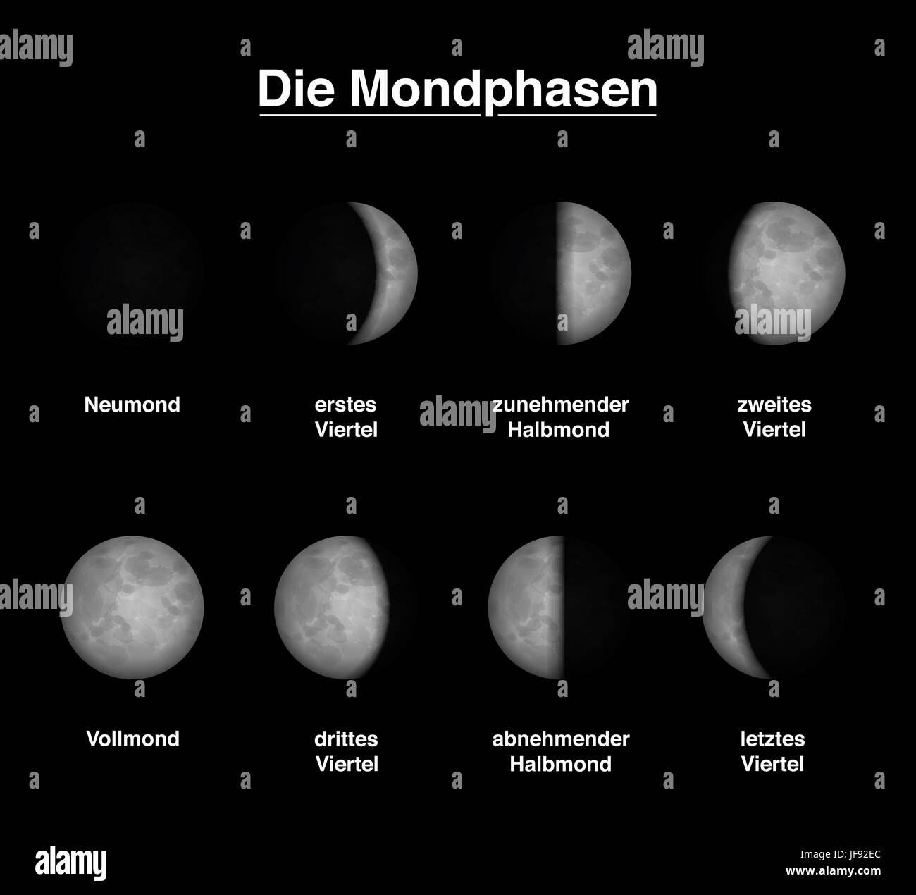 Mondphasen die Mond - deutsche Beschriftung - verschiedene Formen der beleuchteten Teile. Stockfoto