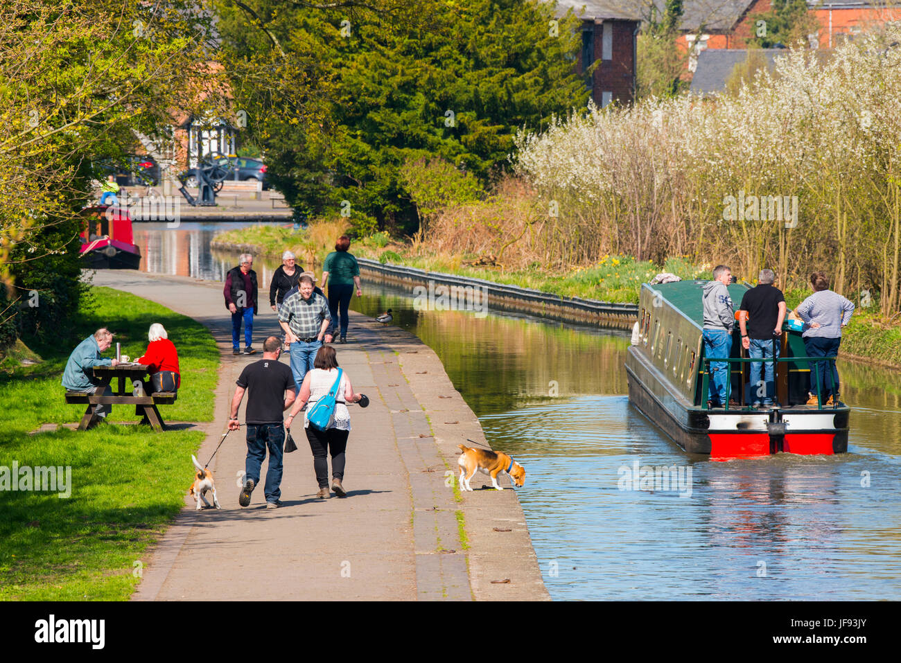 Frühling am Llangollen Kanal bei Ellesmere, Shropshire. Stockfoto