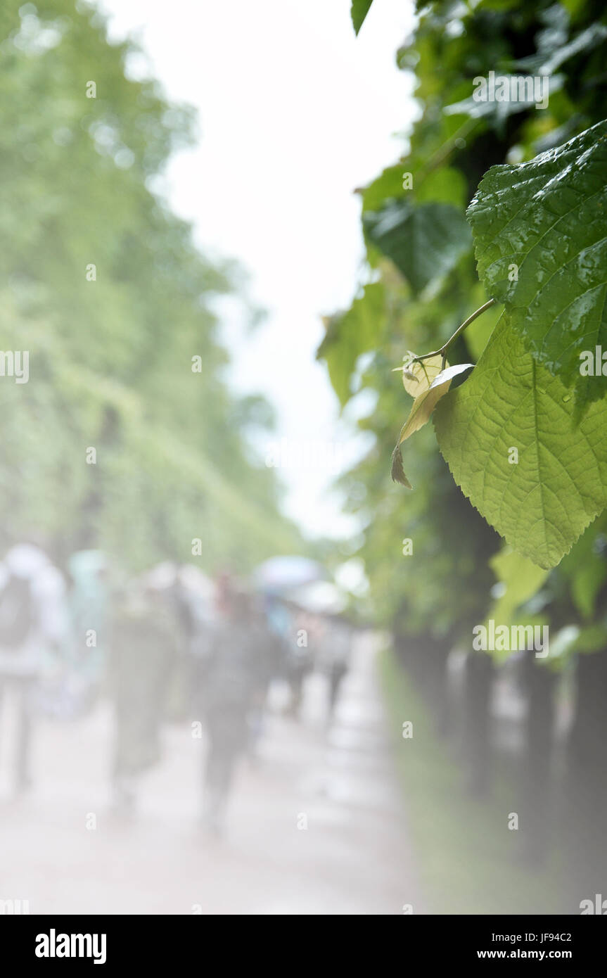 Menschen zu Fuß auf der Gasse unter Sonnenschirmen im Regen, verschwommenen Hintergrund Stockfoto
