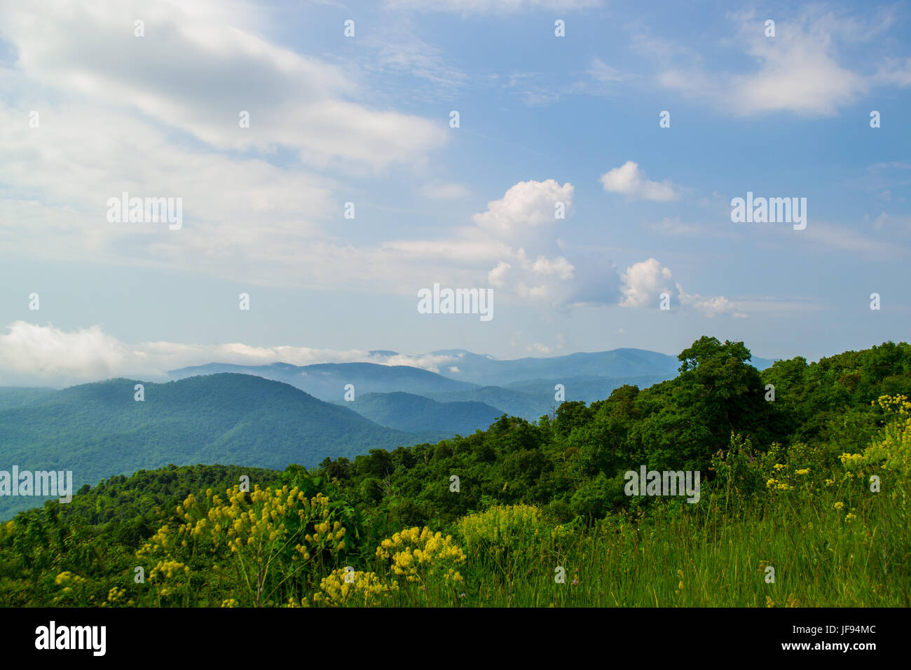 Mittag Bergblick im Shenandoah-Nationalpark, Virginia. Stockfoto