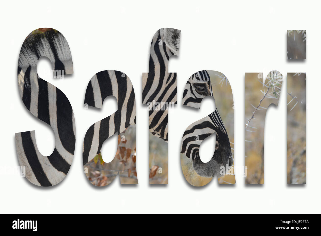 Afrika und wilden Tieren in einer Schriftart Stockfoto