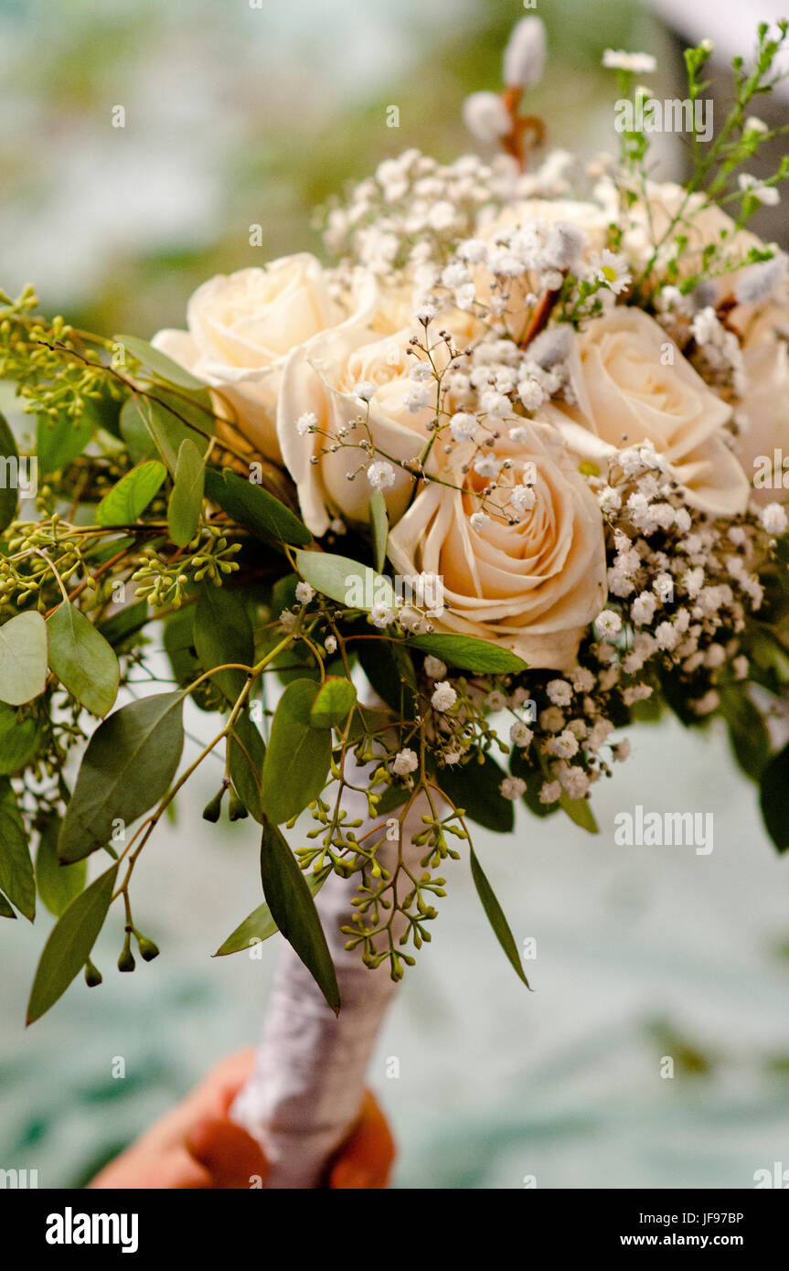 Ein Bouquet von zarten blassen Pfirsich farbigen Rosen Stockfoto